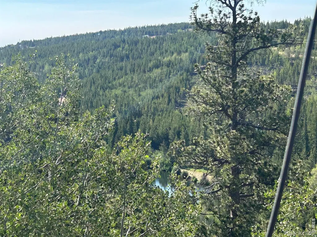 506 Elkridge Road Red Feather Lakes CO 80545
