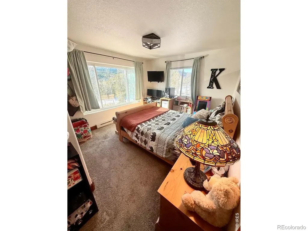 3689 Ottawa Way Red Feather Lakes CO 80545