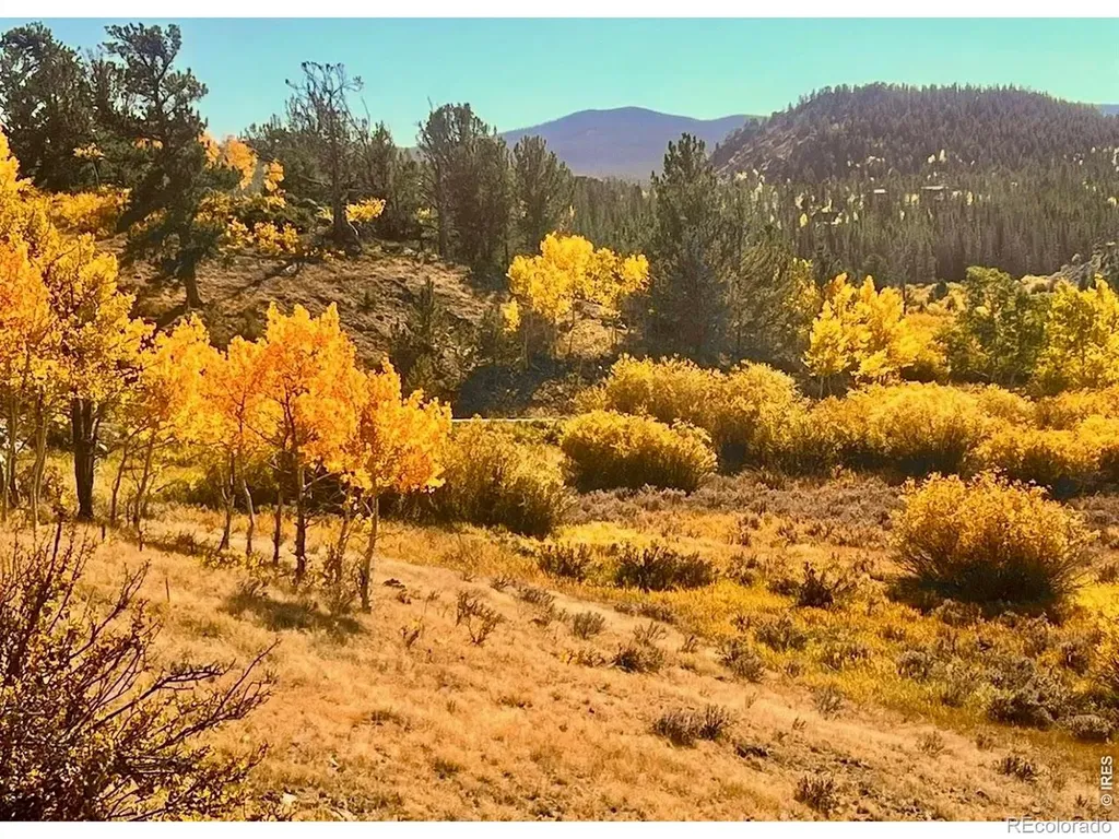 3689 Ottawa Way Red Feather Lakes CO 80545
