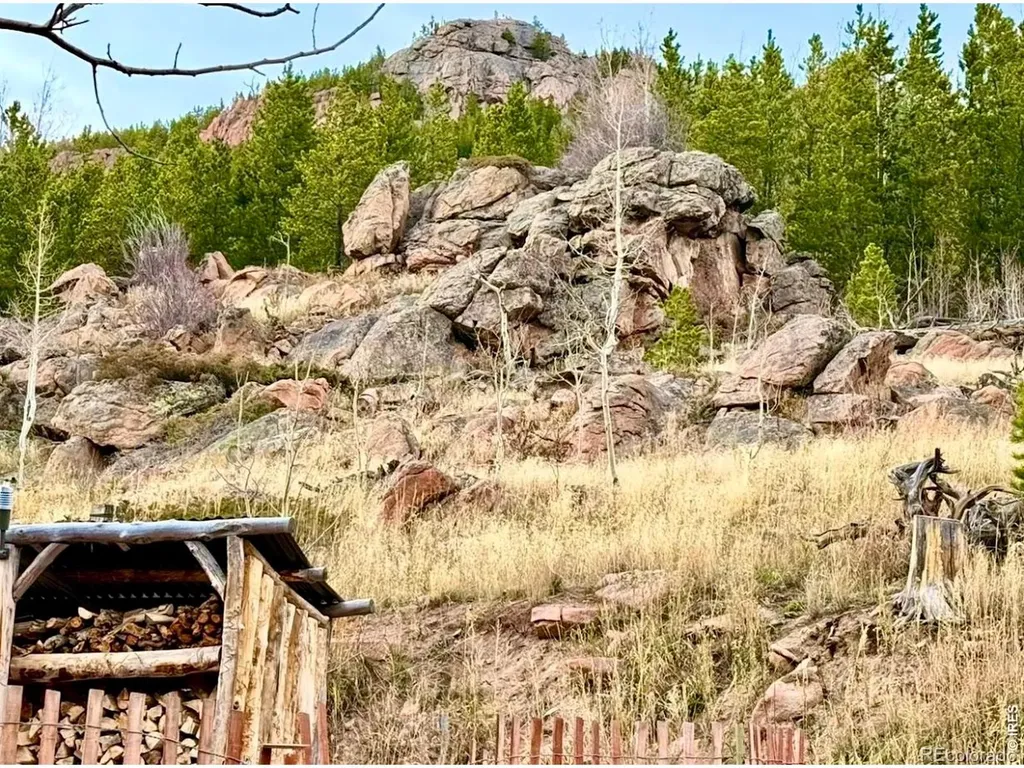 3689 Ottawa Way Red Feather Lakes CO 80545