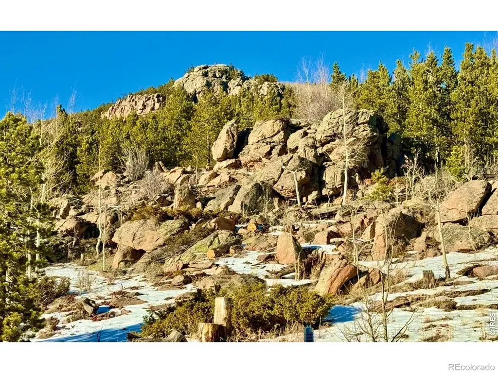 3689 Ottawa Way Red Feather Lakes CO 80545