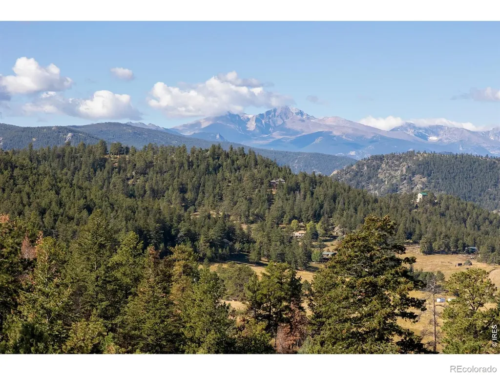 981 Palisade Mountain Drive Drake CO 80515