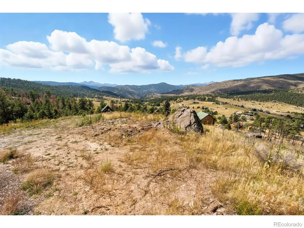 981 Palisade Mountain Drive Drake CO 80515