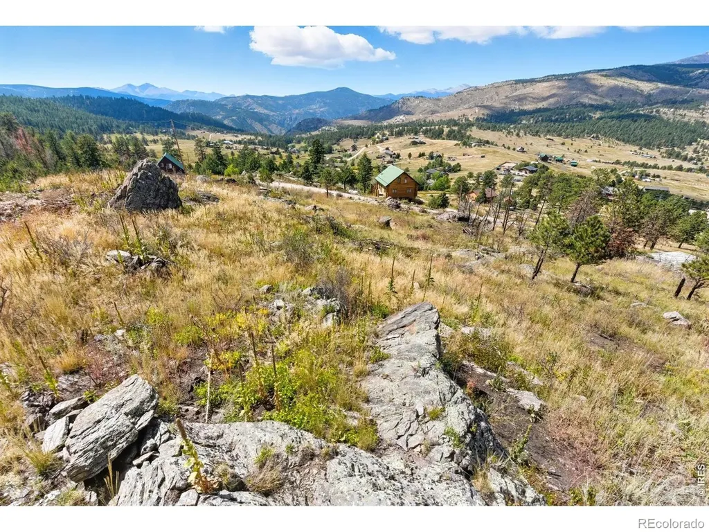 981 Palisade Mountain Drive Drake CO 80515