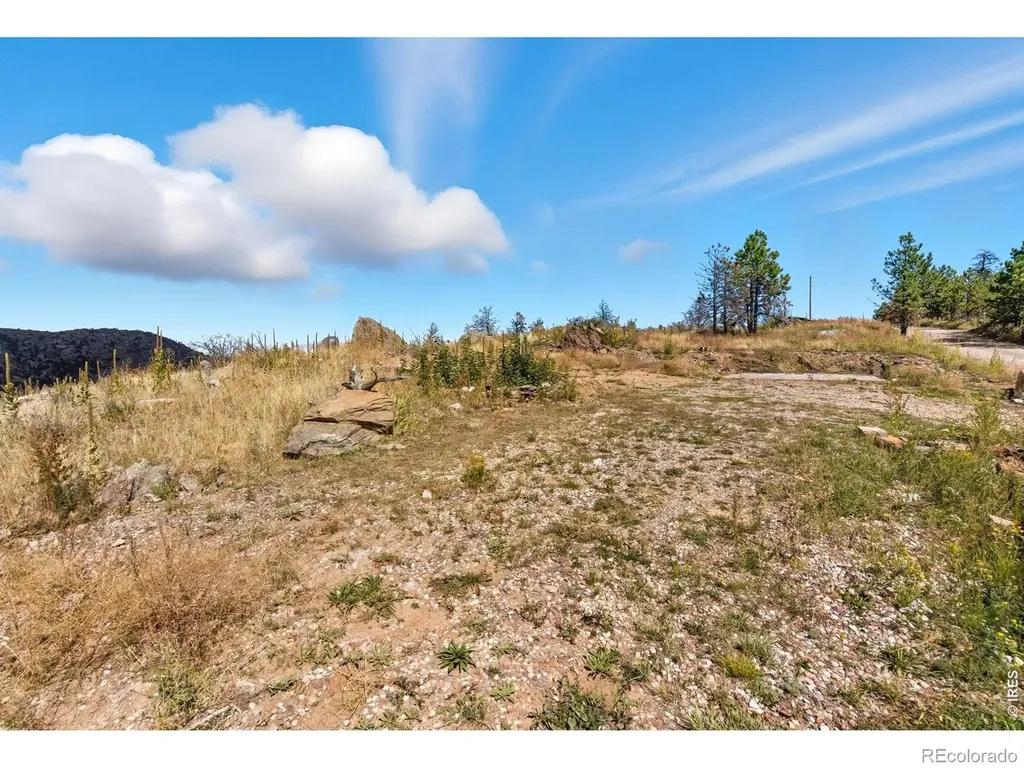 981 Palisade Mountain Drive Drake CO 80515