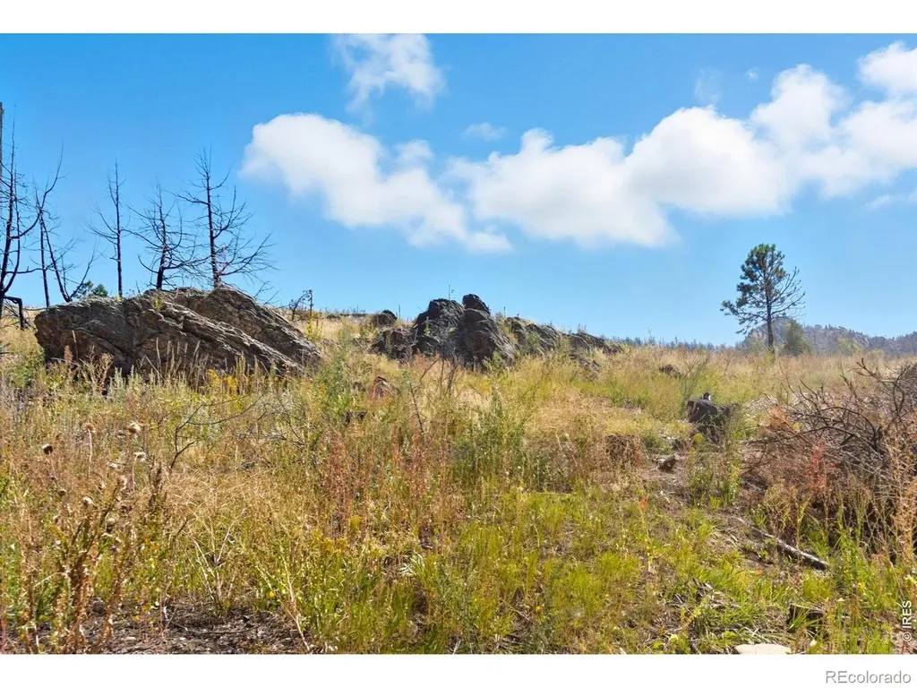 981 Palisade Mountain Drive Drake CO 80515