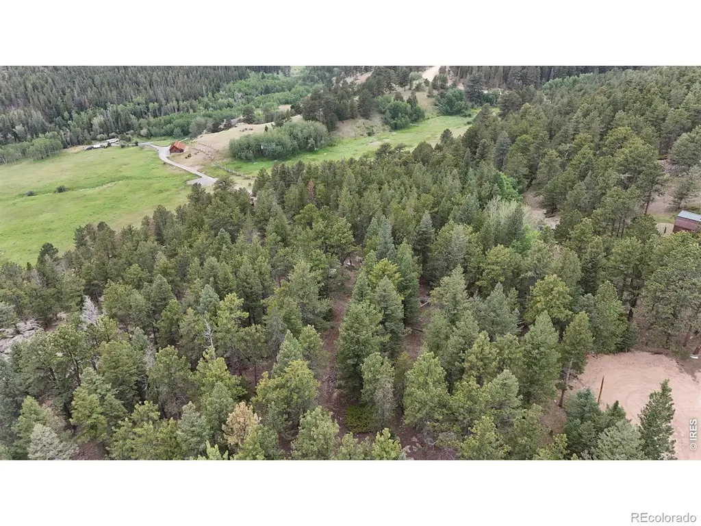 225 Bobcat Way Ward CO 80481