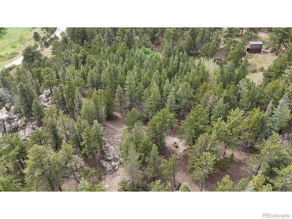 225 Bobcat Way Ward CO 80481