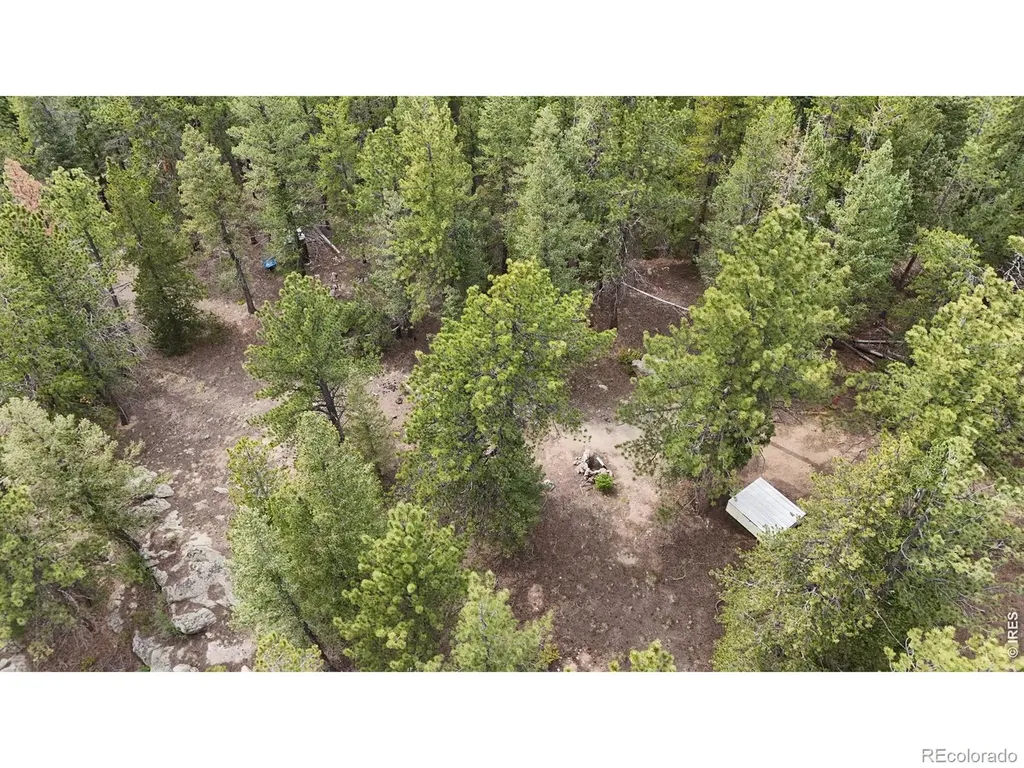 225 Bobcat Way Ward CO 80481