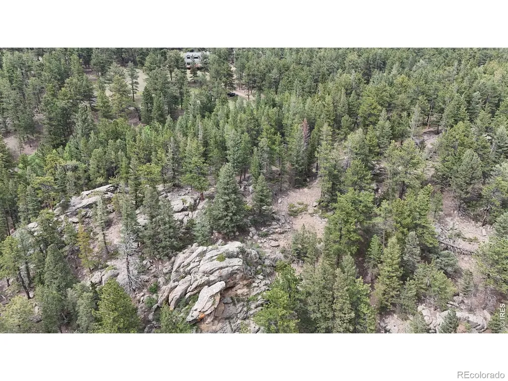 225 Bobcat Way Ward CO 80481