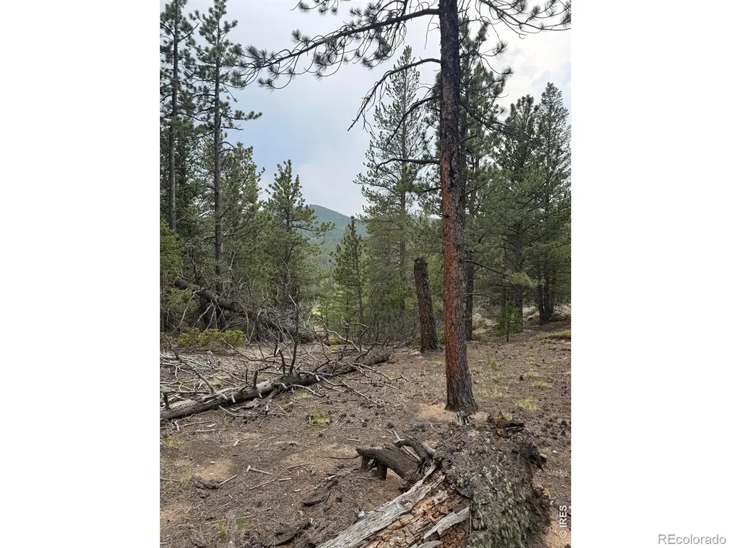 225 Bobcat Way Ward CO 80481