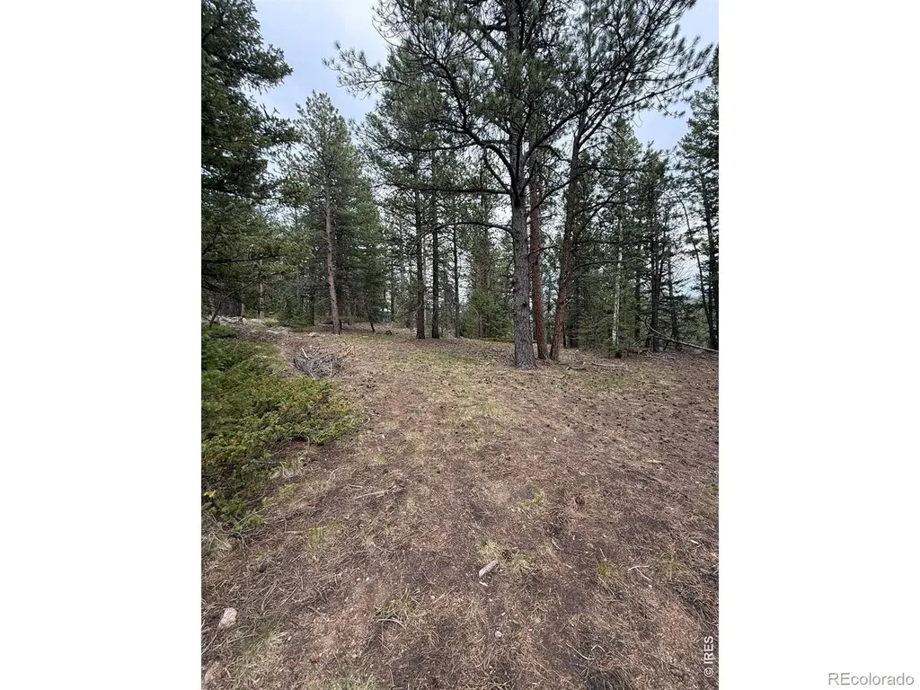225 Bobcat Way Ward CO 80481