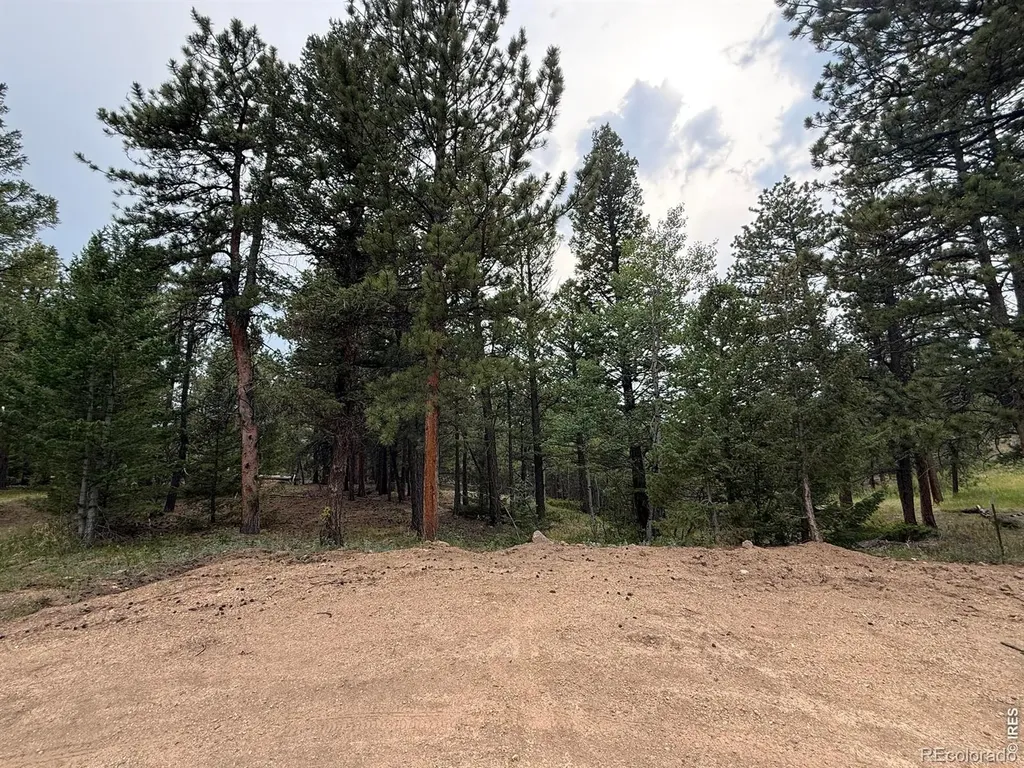 225 Bobcat Way Ward CO 80481