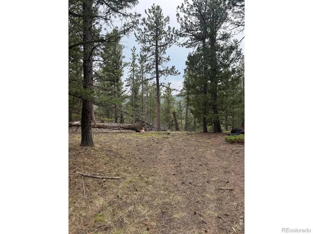 225 Bobcat Way Ward CO 80481