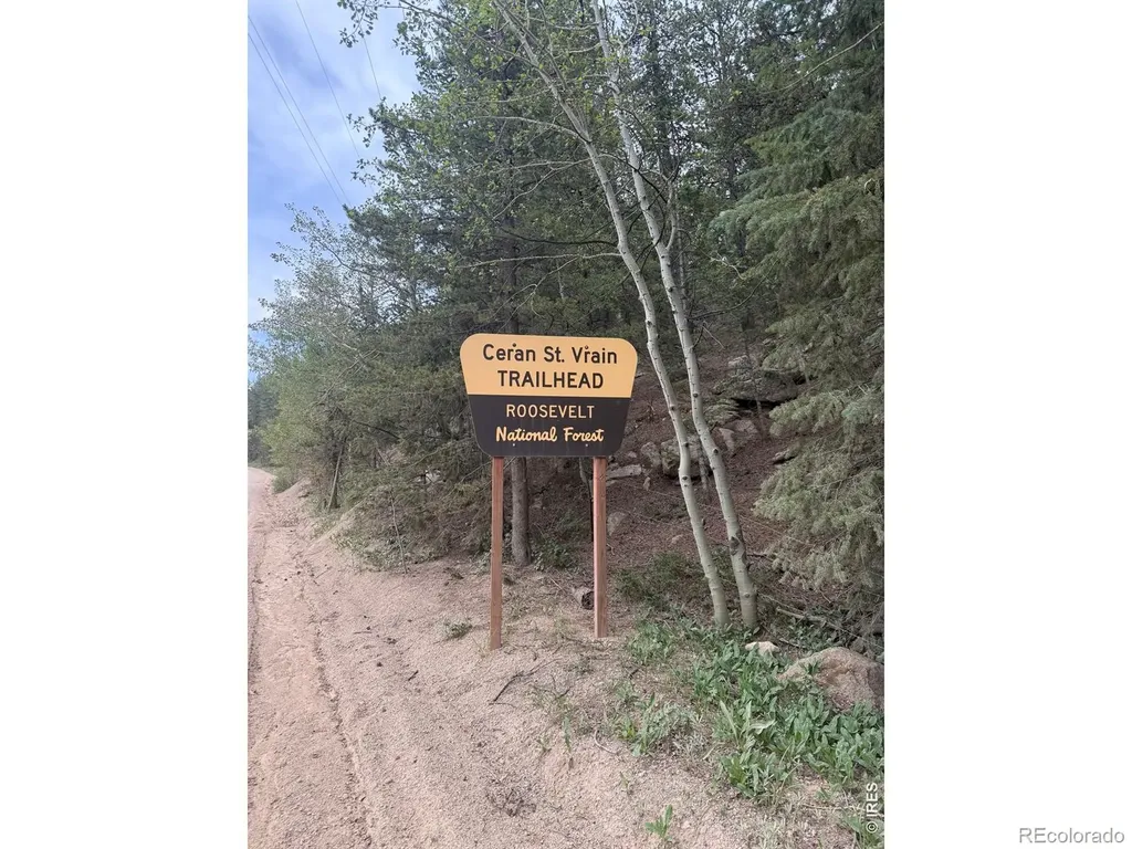 225 Bobcat Way Ward CO 80481
