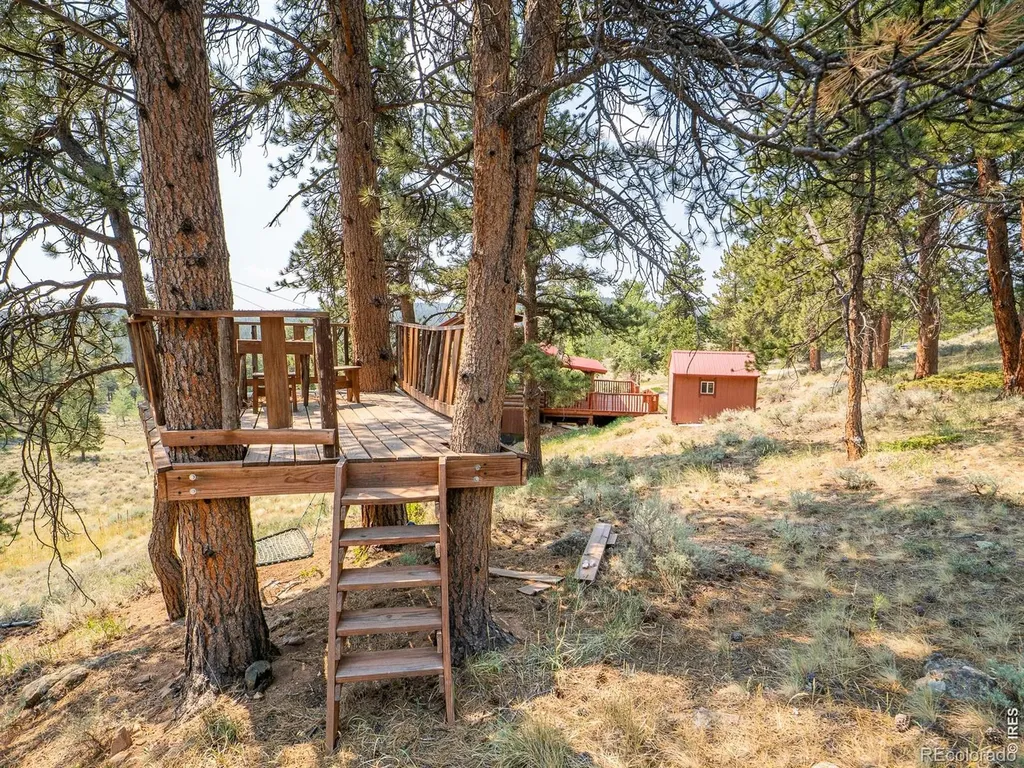 296 Caddo Road Red Feather Lakes CO 80545