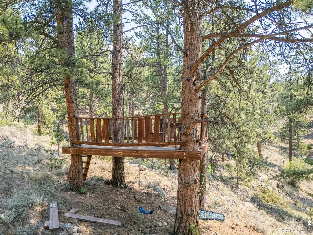 296 Caddo Road Red Feather Lakes CO 80545