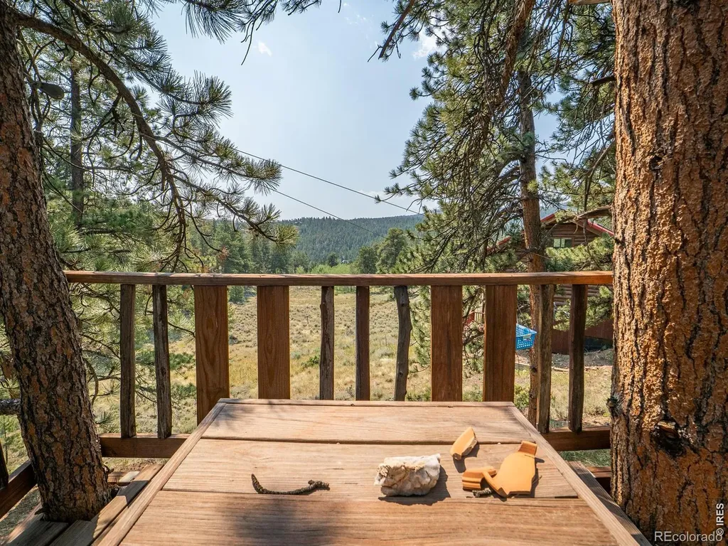 296 Caddo Road Red Feather Lakes CO 80545