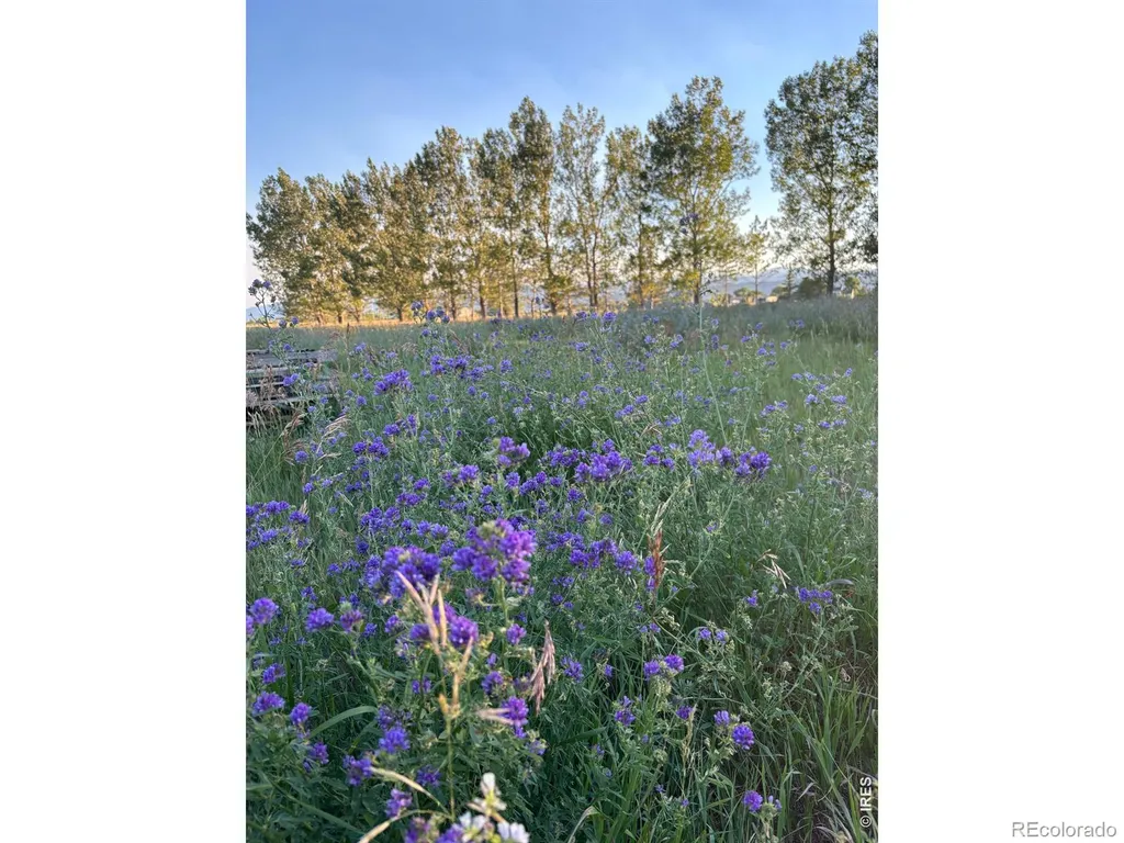 619 West County Road 66e W Fort Collins CO 80524