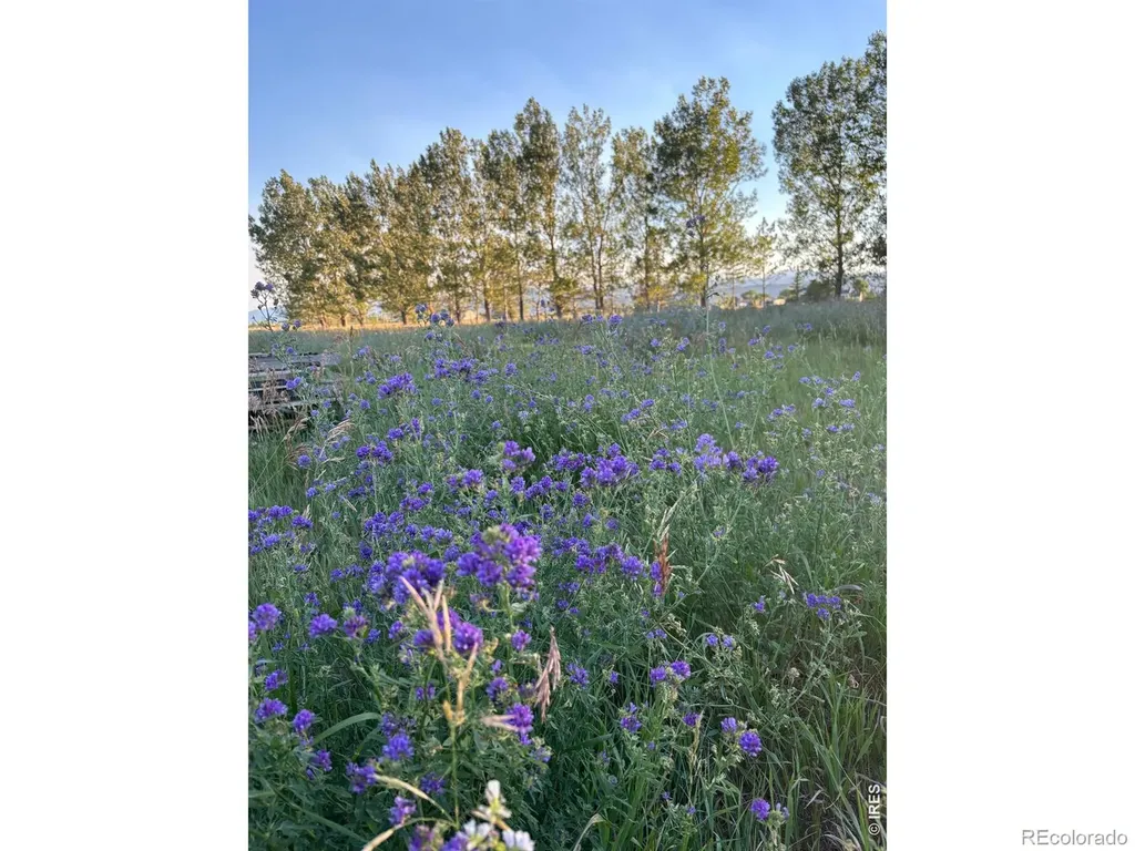 619 W County Road 66e W Fort Collins CO 80524