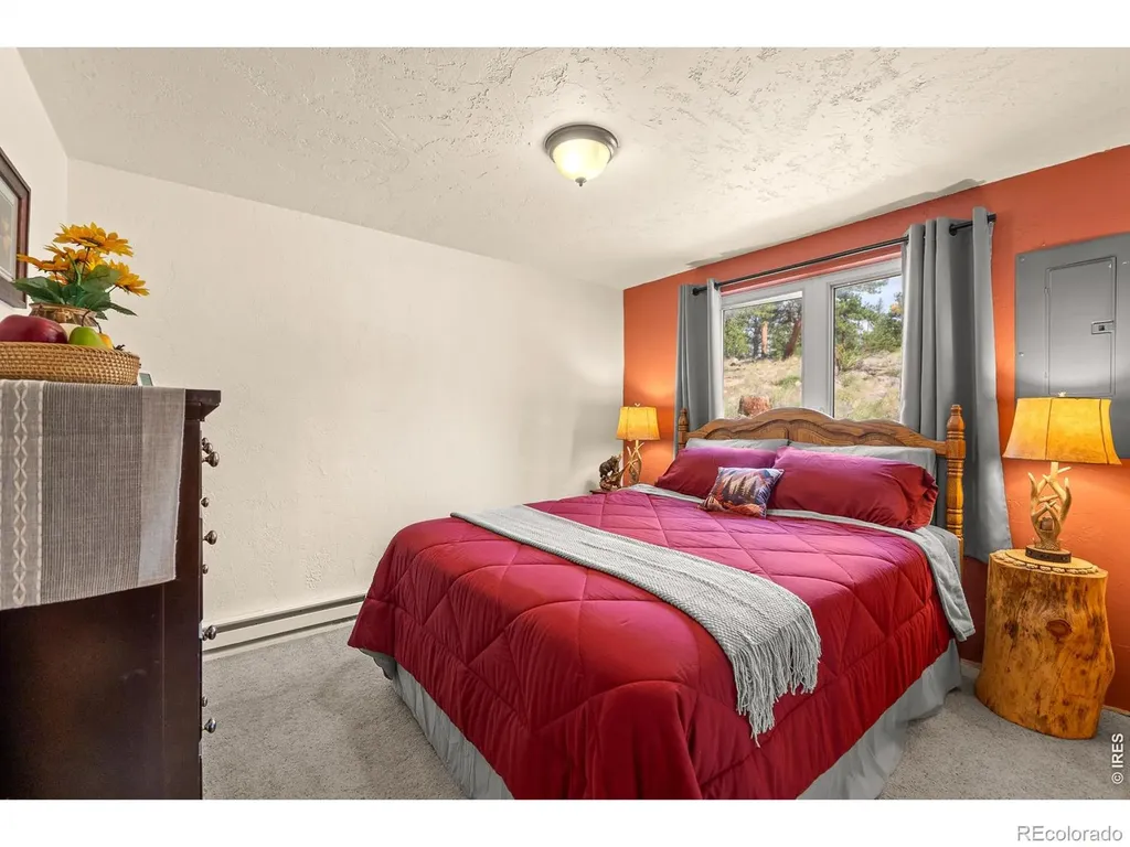 107 Miami Court Red Feather Lakes CO 80545