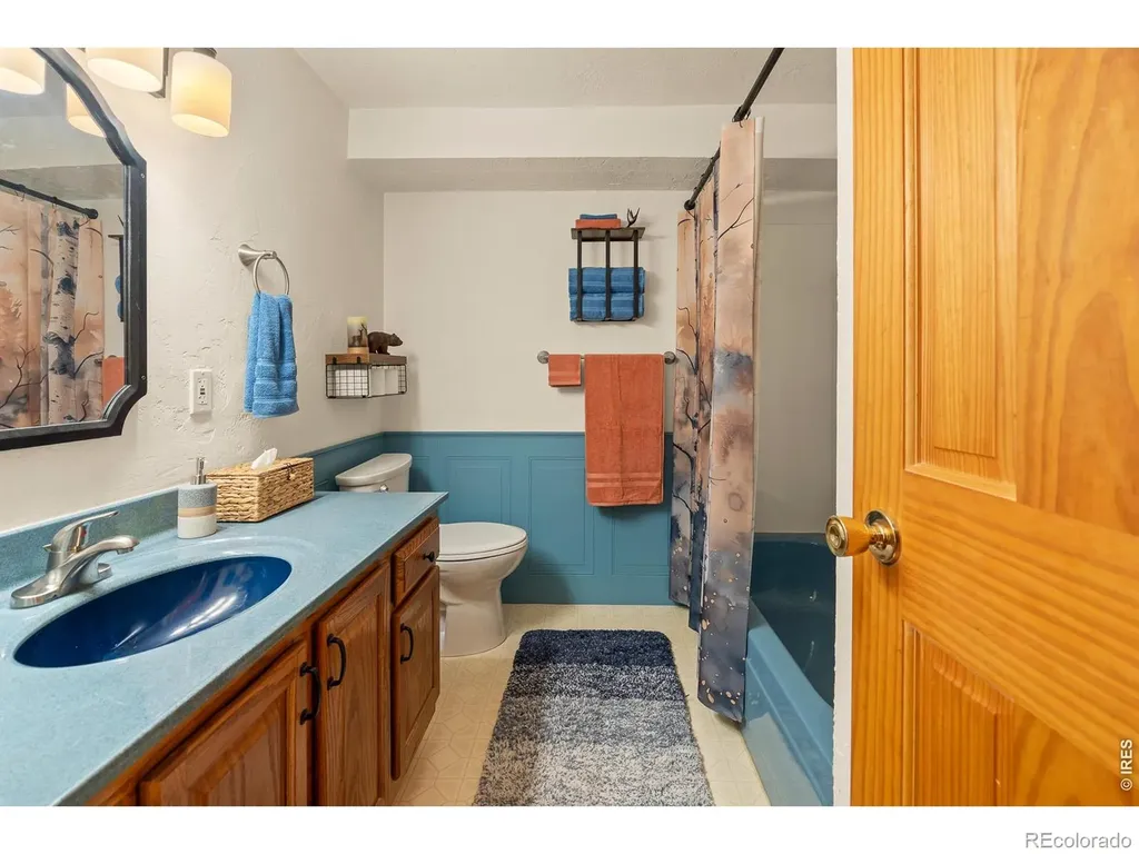 107 Miami Court Red Feather Lakes CO 80545