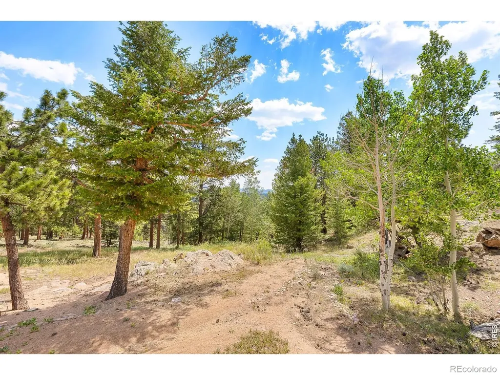 107 Miami Court Red Feather Lakes CO 80545