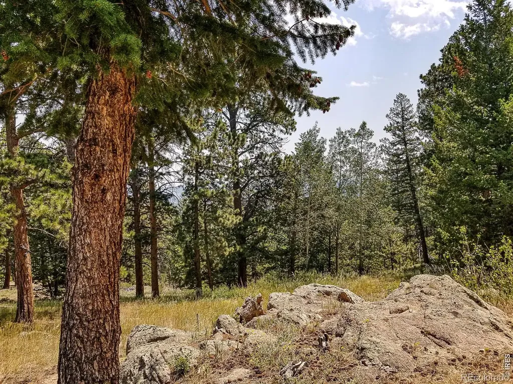 107 Miami Court Red Feather Lakes CO 80545