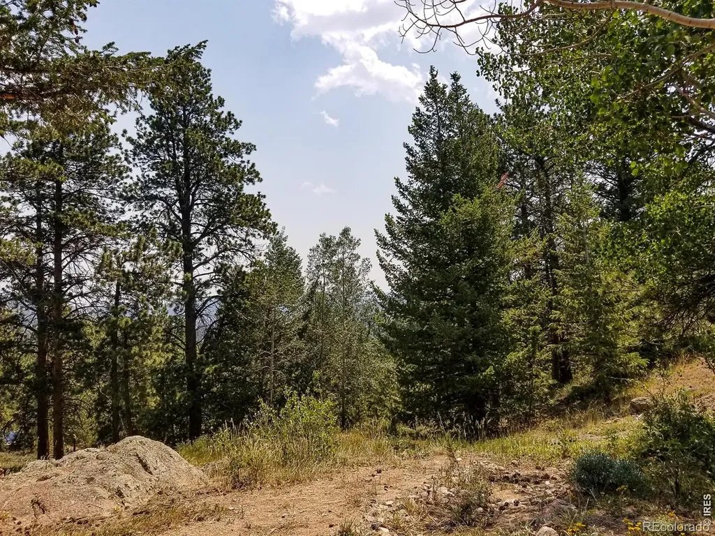 107 Miami Court Red Feather Lakes CO 80545