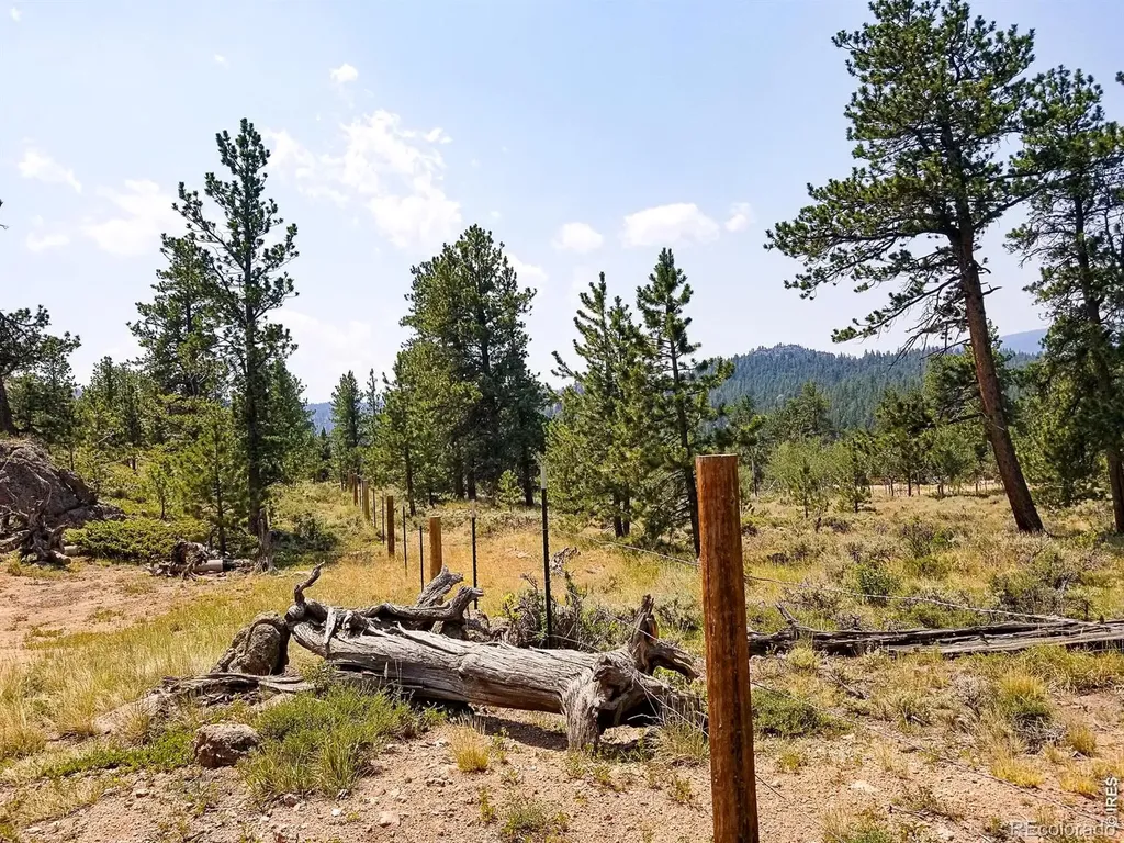 107 Miami Court Red Feather Lakes CO 80545