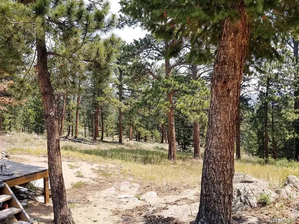 107 Miami Court Red Feather Lakes CO 80545