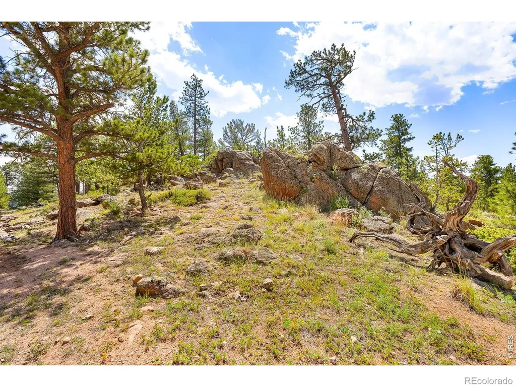107 Miami Court Red Feather Lakes CO 80545