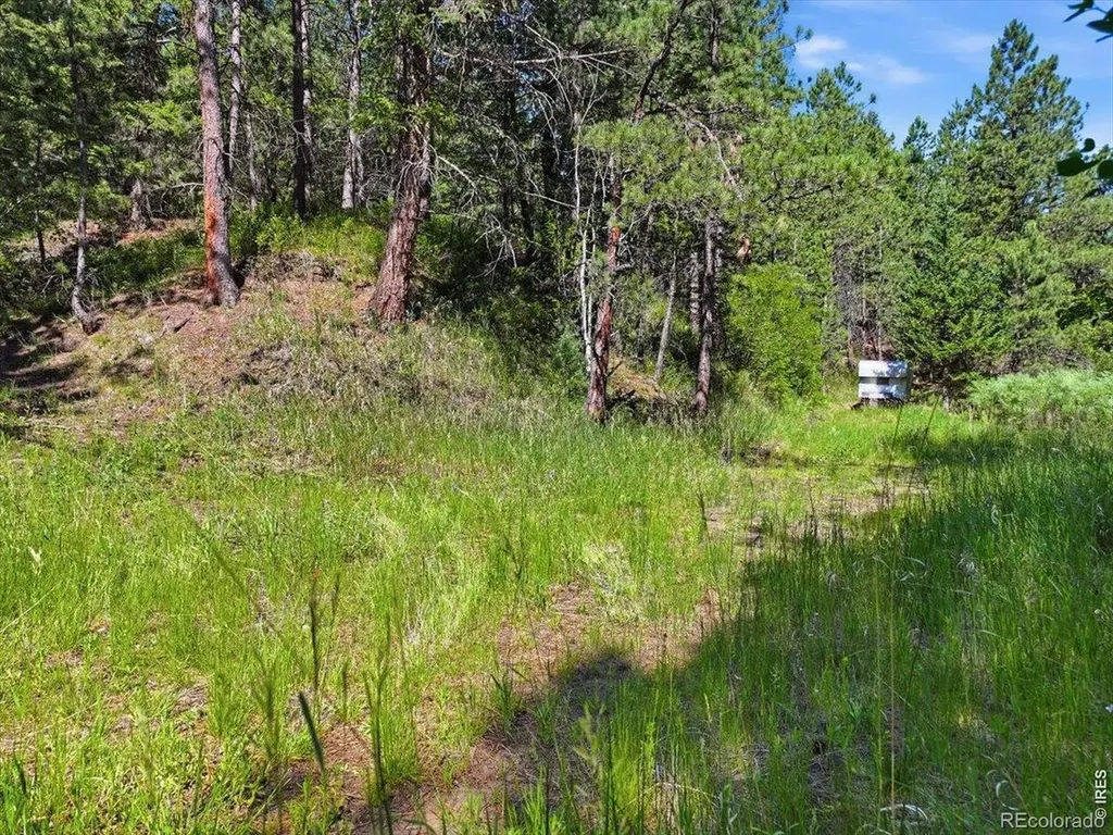 Spiritwood Lane Bellvue CO 80512