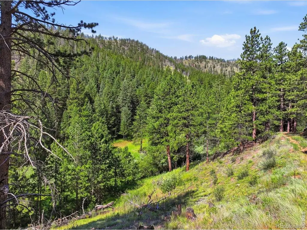 Spiritwood Lane Bellvue CO 80512