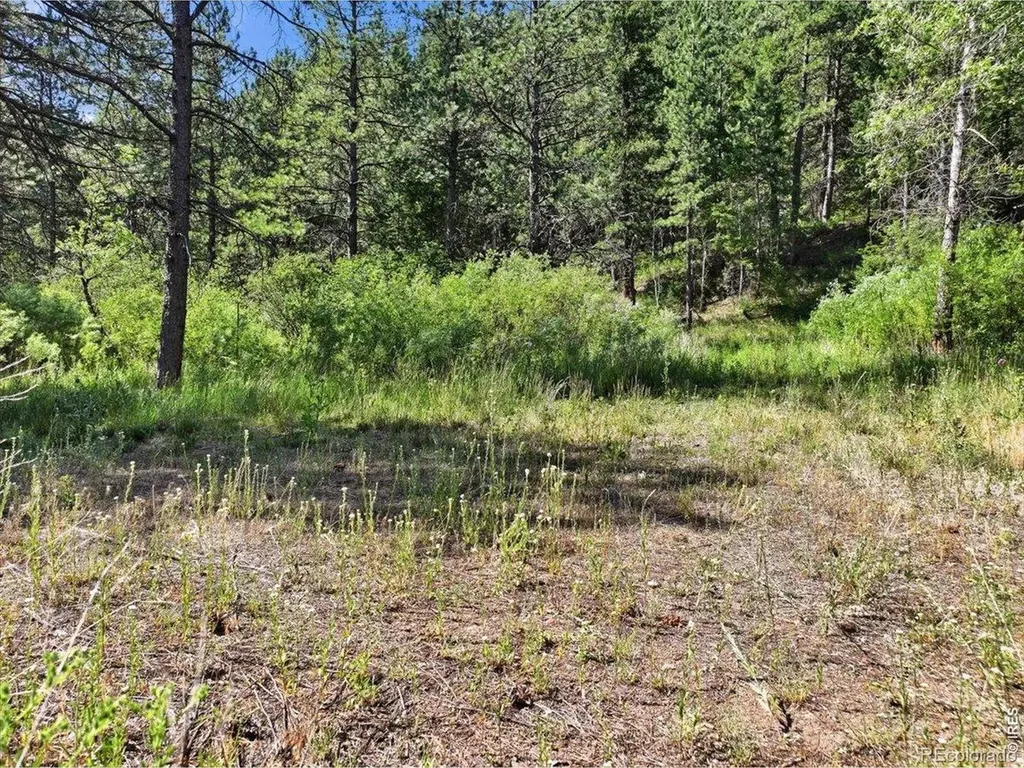 Spiritwood Lane Bellvue CO 80512
