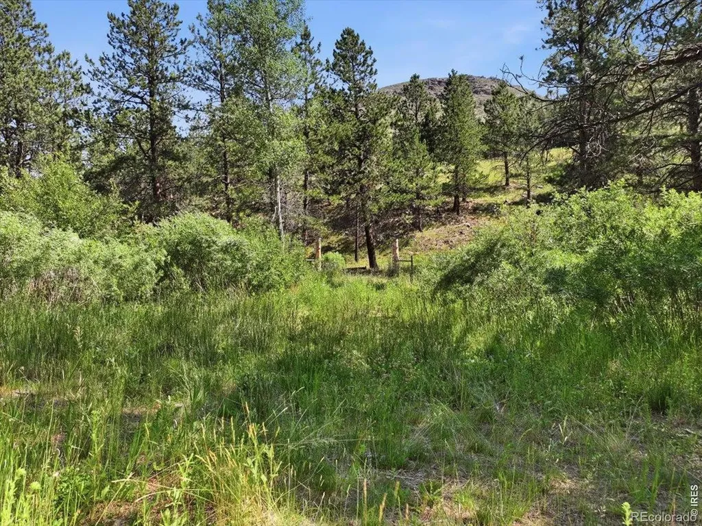 Spiritwood Lane Bellvue CO 80512