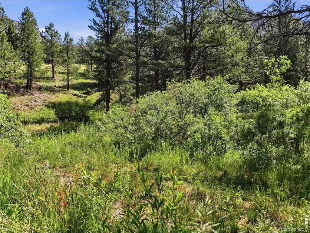 Spiritwood Lane Bellvue CO 80512