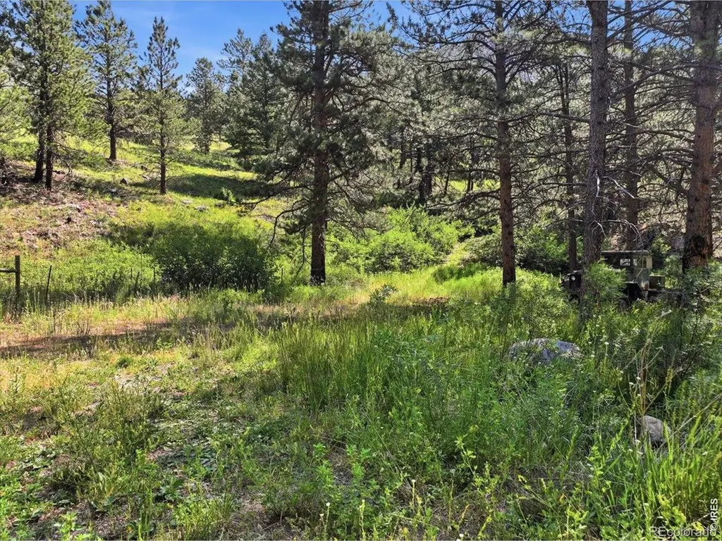 Spiritwood Lane Bellvue CO 80512