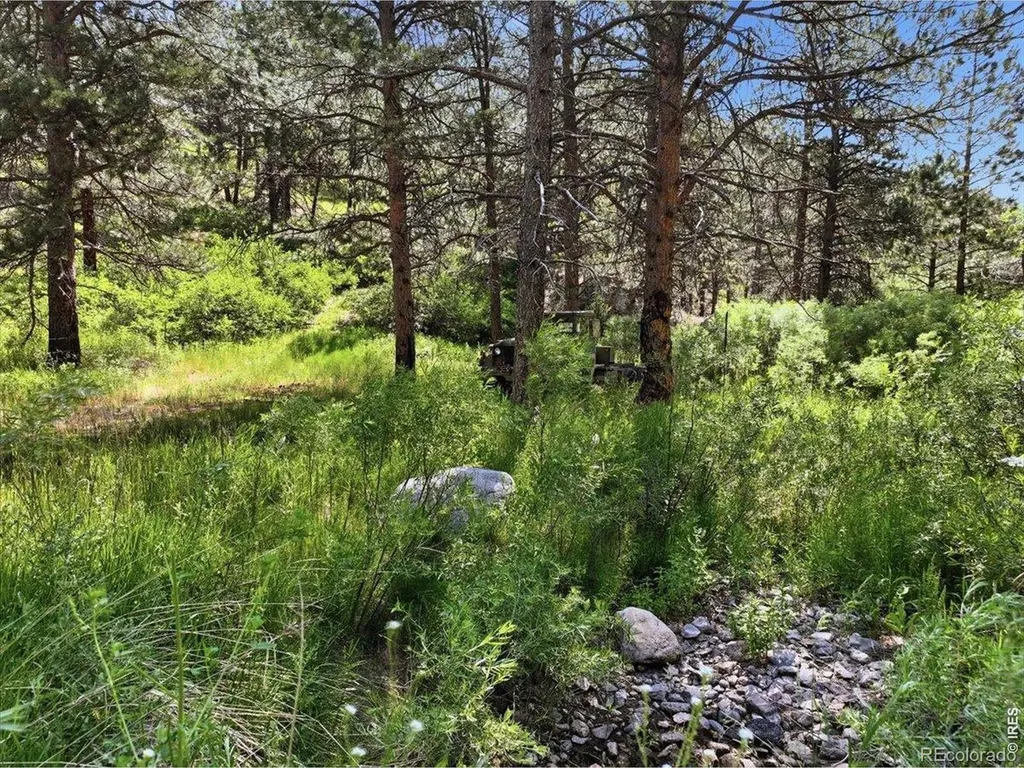 Spiritwood Lane Bellvue CO 80512