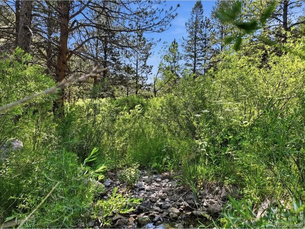 Spiritwood Lane Bellvue CO 80512