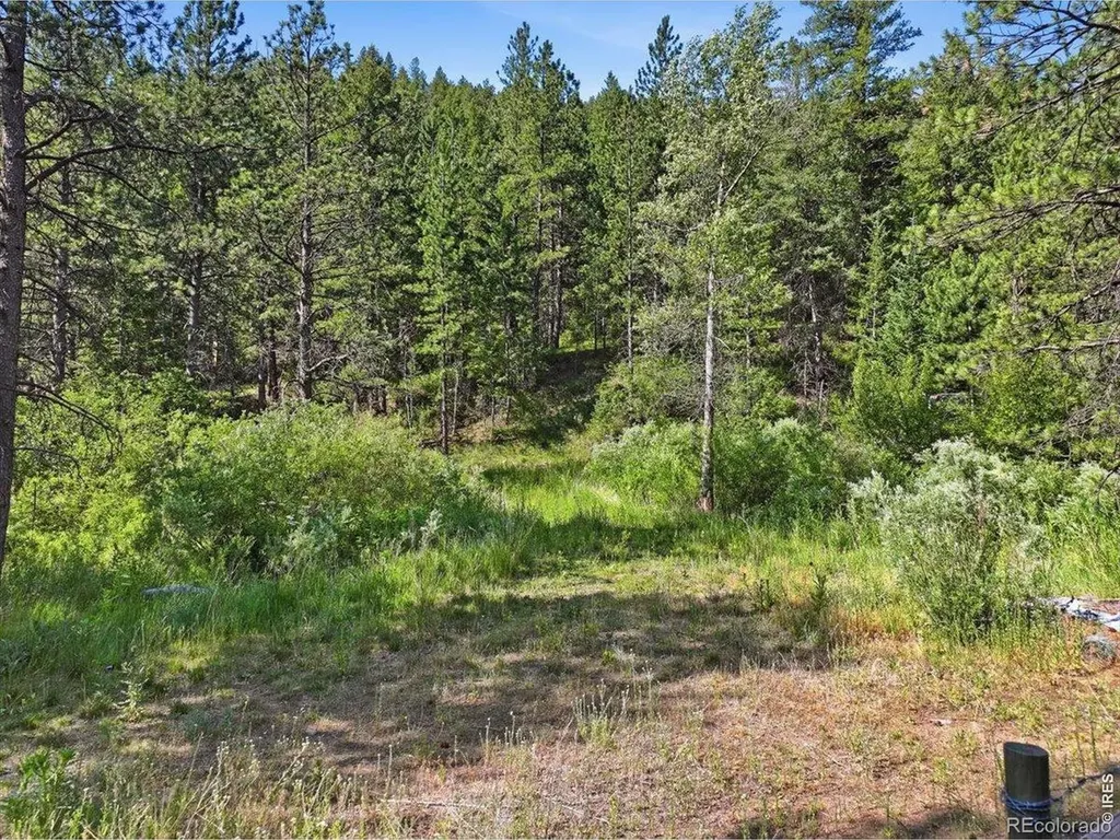 Spiritwood Lane Bellvue CO 80512
