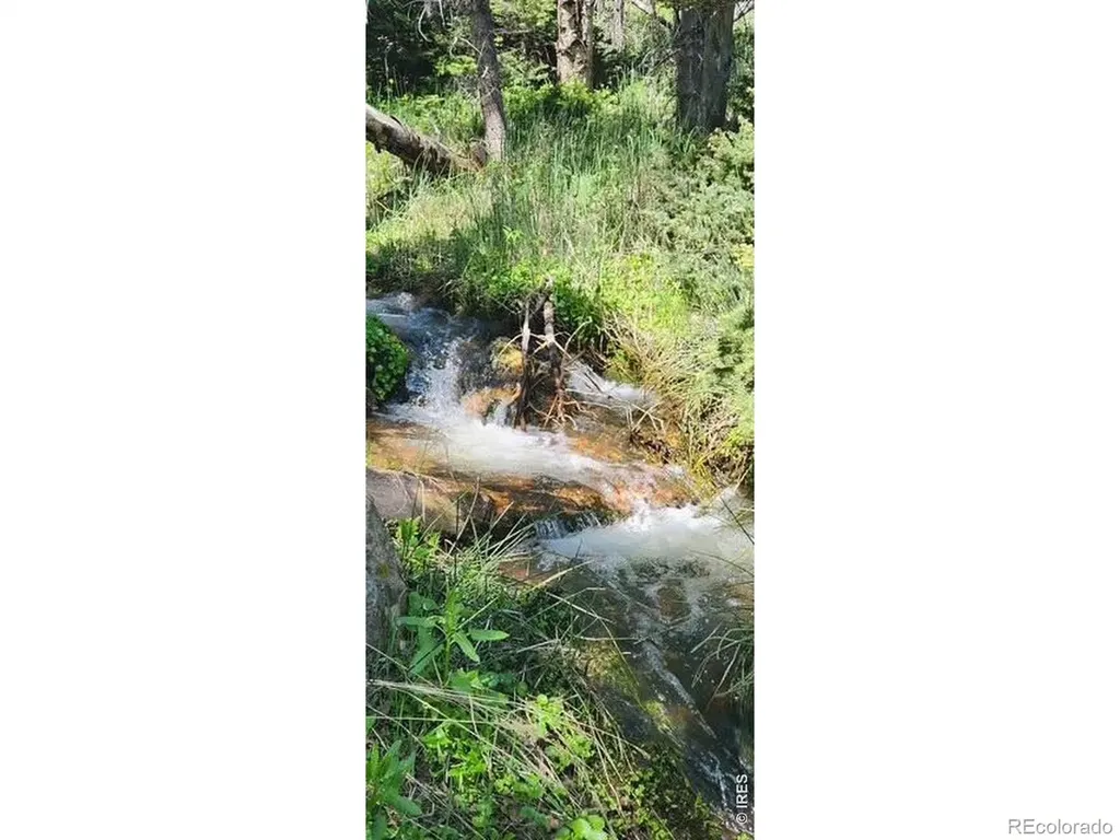 Spiritwood Lane Bellvue CO 80512