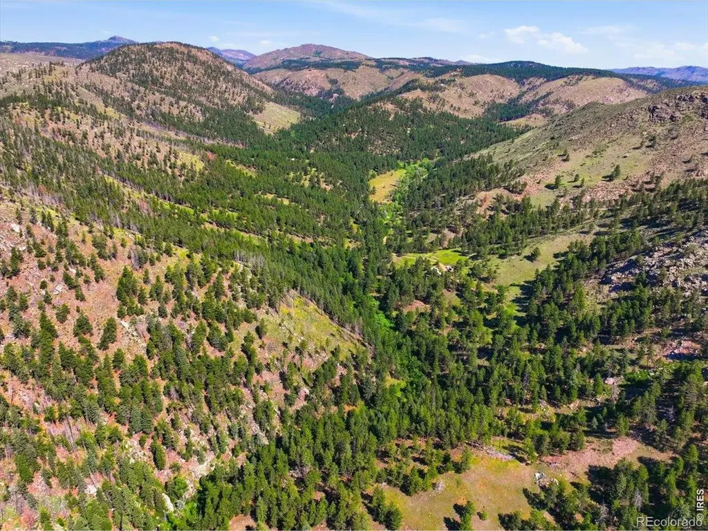Spiritwood Lane Bellvue CO 80512
