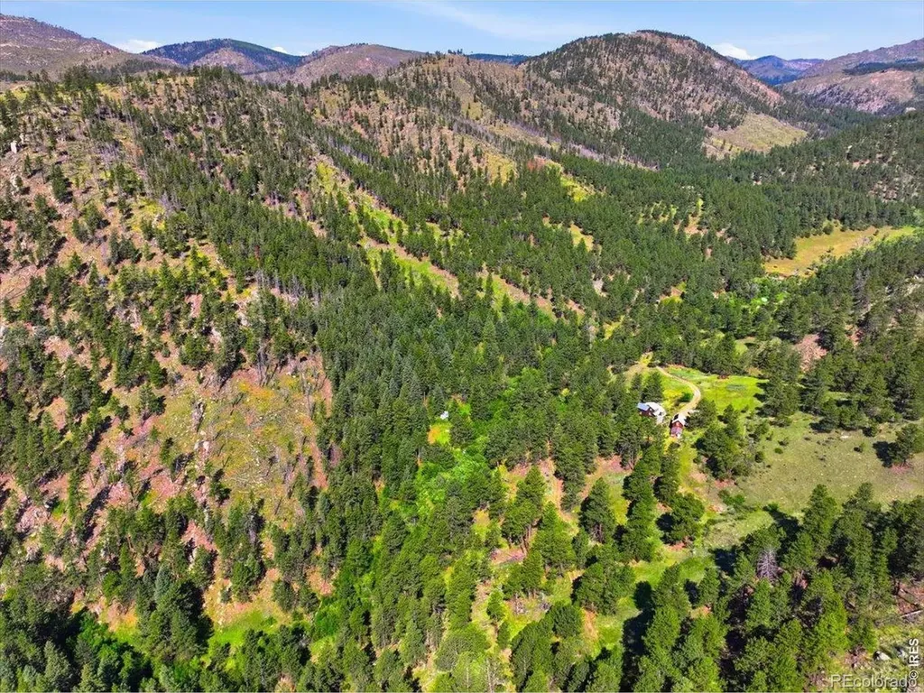 Spiritwood Lane Bellvue CO 80512