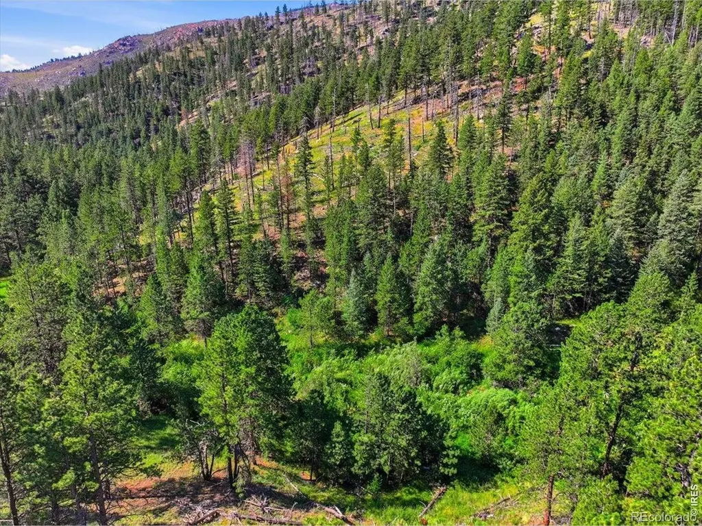 Spiritwood Lane Bellvue CO 80512