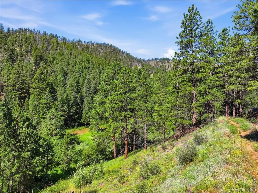 Spiritwood Lane Bellvue CO 80512