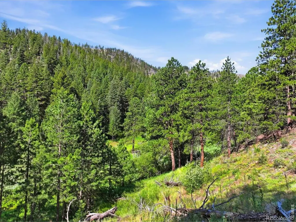 Spiritwood Lane Bellvue CO 80512