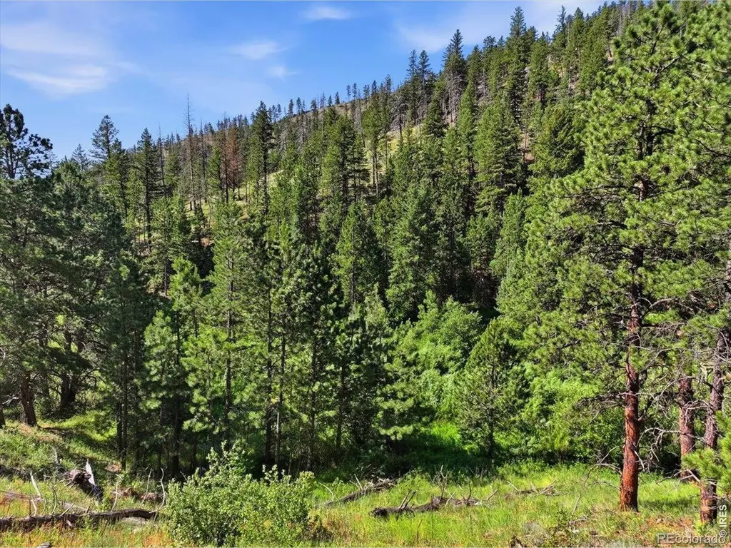 Spiritwood Lane Bellvue CO 80512