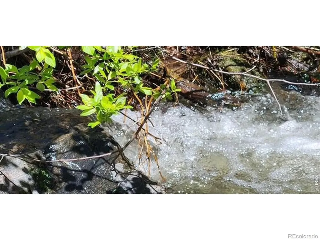 Spiritwood Lane Bellvue CO 80512
