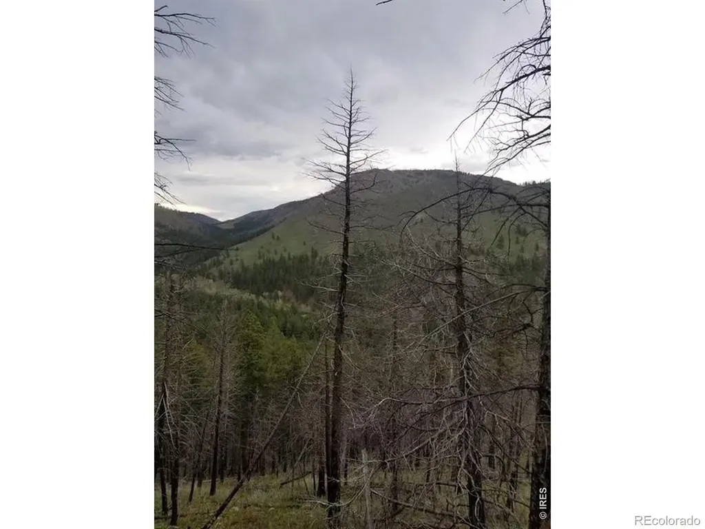 Spiritwood Lane Bellvue CO 80512